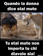 de275c68e859f14d2cc48d33eb10ab40.jpg