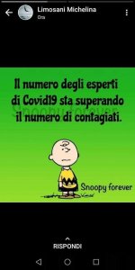 1fbb588ec05a8db6f58ccd88b158abe7.jpg