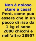 FB_IMG_1641828795261.jpg