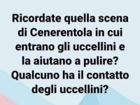 FB_IMG_1641904497251.jpg