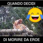 FB_IMG_1641997300705.jpg