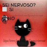 FB_IMG_1642092091750.jpg