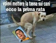 9808ce8a34d1fe5526d04976414de7fc.jpg
