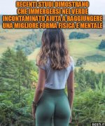 903497fec6792b7d55d41ce17d6af90c.jpg