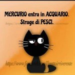 FB_IMG_1642236189541.jpg