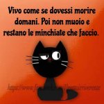FB_IMG_1642069403219.jpg
