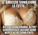 4fe0f537984c5f5fd80c78b1431c795d.jpg