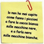 FB_IMG_1642515394562.jpg