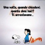 FB_IMG_1642699200875.jpg