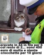 FB_IMG_1642772286744.jpg