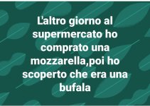 FB_IMG_1642496823348.jpg