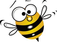 bee2-f-1.jpg