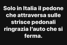 FB_IMG_1642953883611.jpg