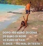 36e4b7d9e36059200a8408a552bd654e.jpg