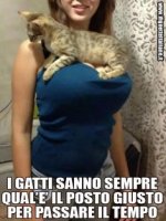 95a5a118ea9b3a066b4bdf251530f25d.jpg