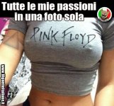 c9854cc6c35b564db9a5c6ba12e32c55.jpg