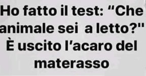 FB_IMG_1643295703070.jpg