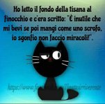 FB_IMG_1643290894426.jpg