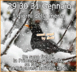 4115152_b24af.gif