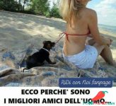 4699c8e2a0f2cc3e6bff2d280ecb4594.jpg