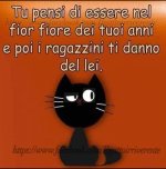 FB_IMG_1643542595530.jpg