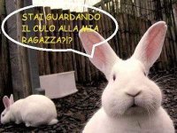 FB_IMG_1643443754001.jpg