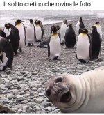 FB_IMG_1643730210305.jpg