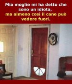 FB_IMG_1643730200270.jpg