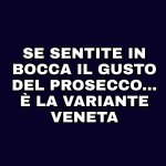 FB_IMG_1643825728550.jpg