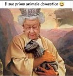 FB_IMG_1643990709427.jpg