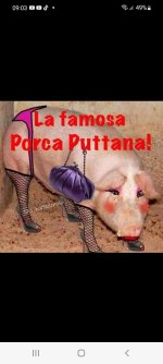 FB_IMG_1643971407159.jpg