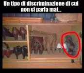 FB_IMG_1644251371684.jpg
