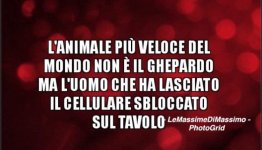 FB_IMG_1644223535035.jpg
