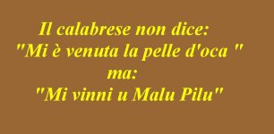 FB_IMG_1644765417290.jpg