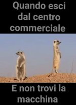 FB_IMG_1644845482899.jpg