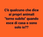 FB_IMG_1644922984051.jpg