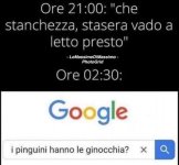 FB_IMG_1645010573022.jpg