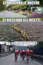 FB_IMG_1645168427404.jpg