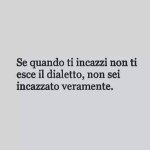FB_IMG_1645293933529.jpg