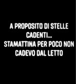 FB_IMG_1645272190142.jpg