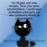 FB_IMG_1645258725113.jpg