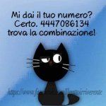 FB_IMG_1645347881224.jpg