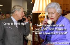 FB_IMG_1645436673477.jpg