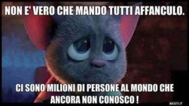FB_IMG_1645554221988.jpg