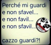 FB_IMG_1645538329799.jpg