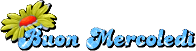 zzz92AN1.png