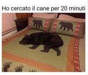FB_IMG_1645643690488.jpg