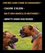 FB_IMG_1645894817383.jpg