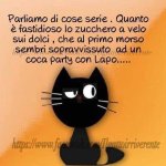 FB_IMG_1646226069861.jpg