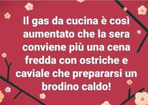 FB_IMG_1646290676289.jpg